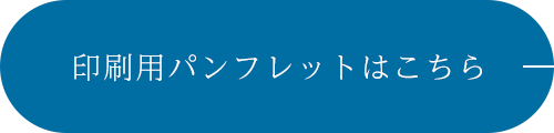 バナー：印刷用パンフレットはこちら