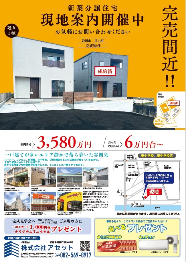 News　-新着情報-