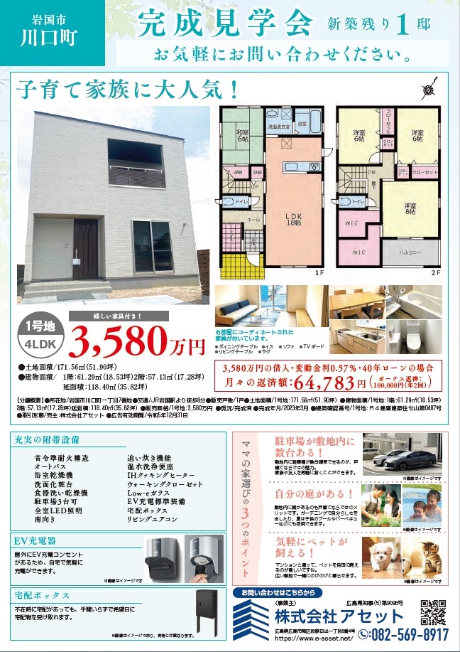 News　-新着情報-